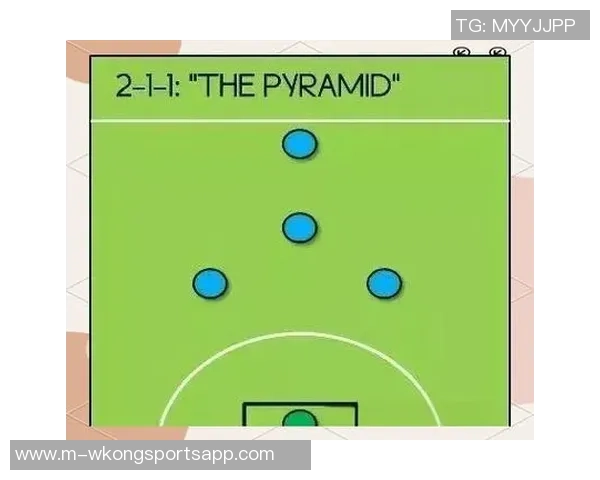 深入解析足球阵型的多样性与战术运用技巧